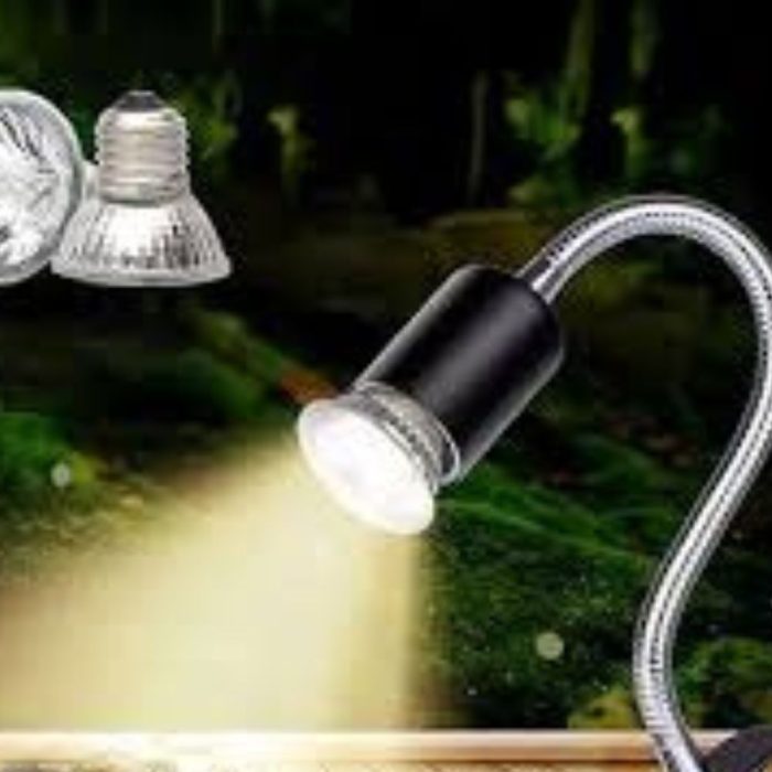 Reptile Light