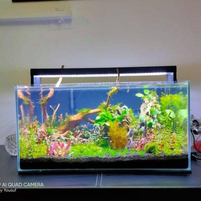 aquarium