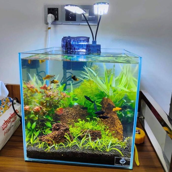 aquarium
