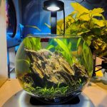 aquarium jar
