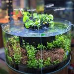 round aquarium