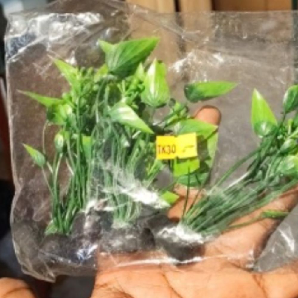 plastic plants