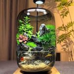 Mini Aquascape Ecosystem
