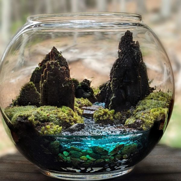 Nature Hill Terrarium