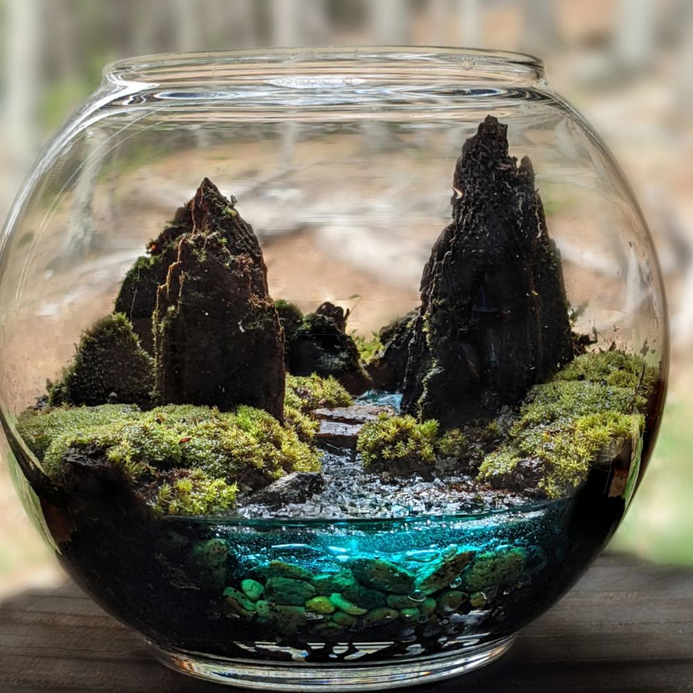 Nature Hill Terrarium