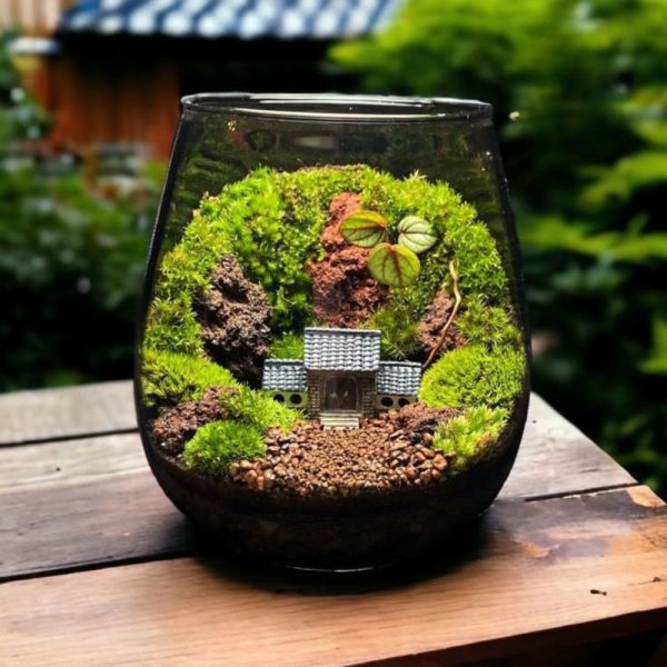 Nature Home Terrarium
