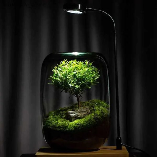 Nature Terrarium