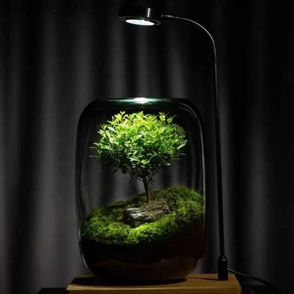 Nature Terrarium