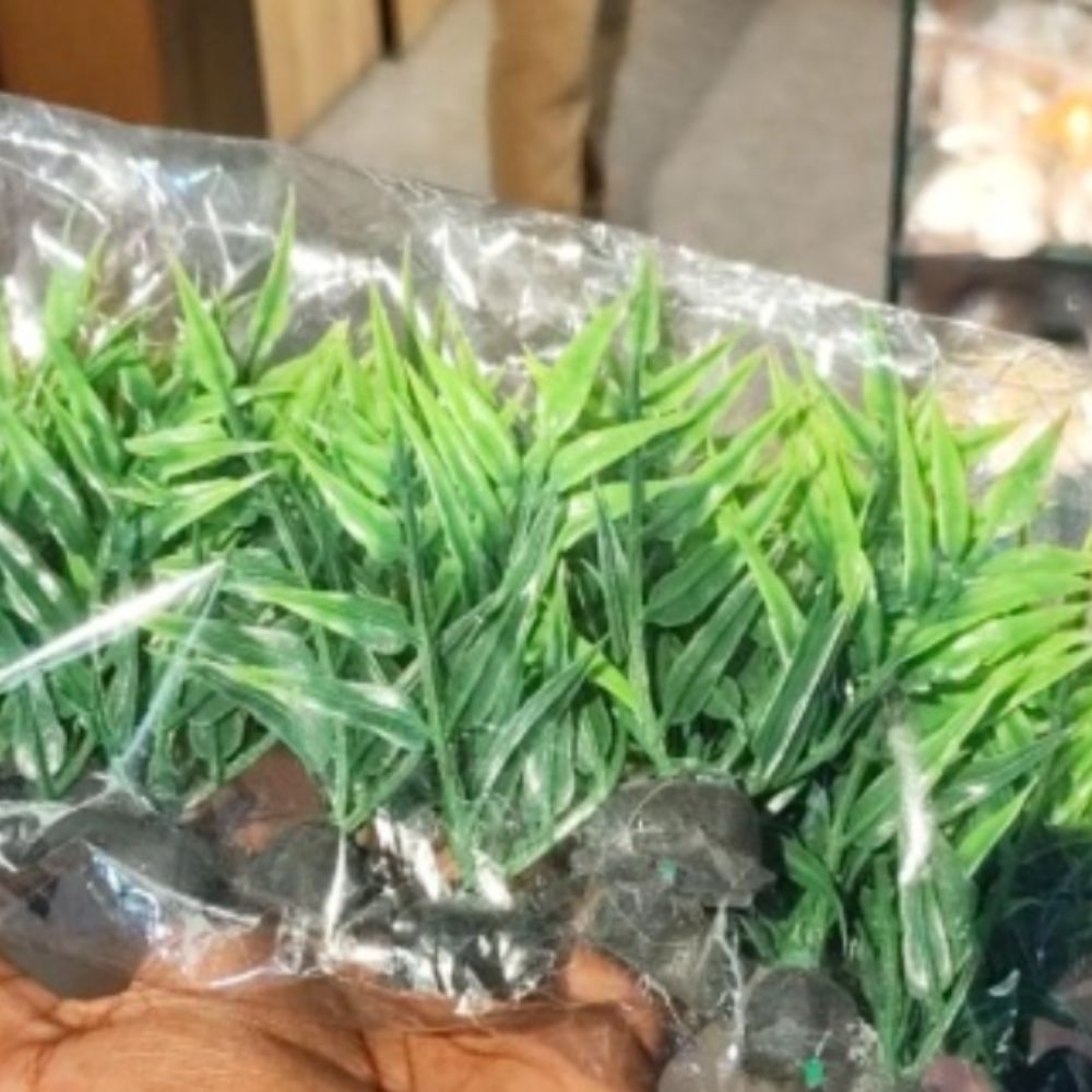 plastic plants
