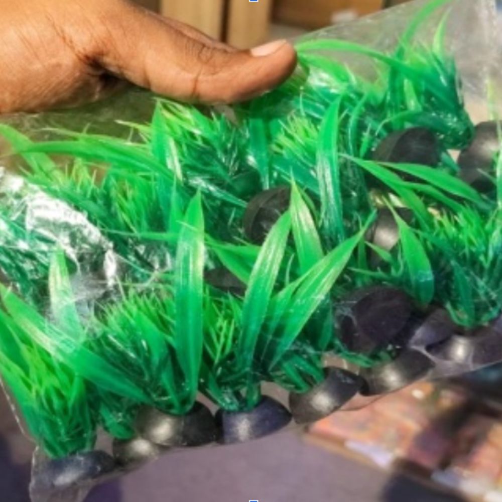 plastic plants