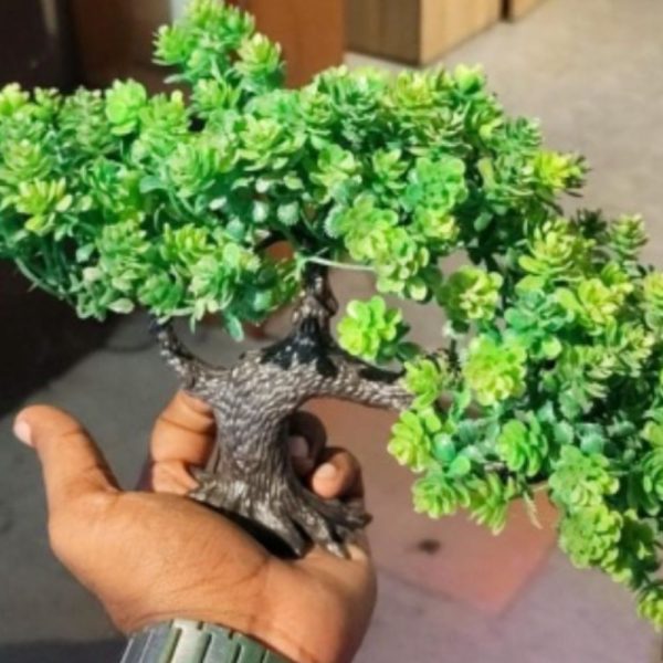 plastic plants