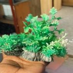 plastic plants