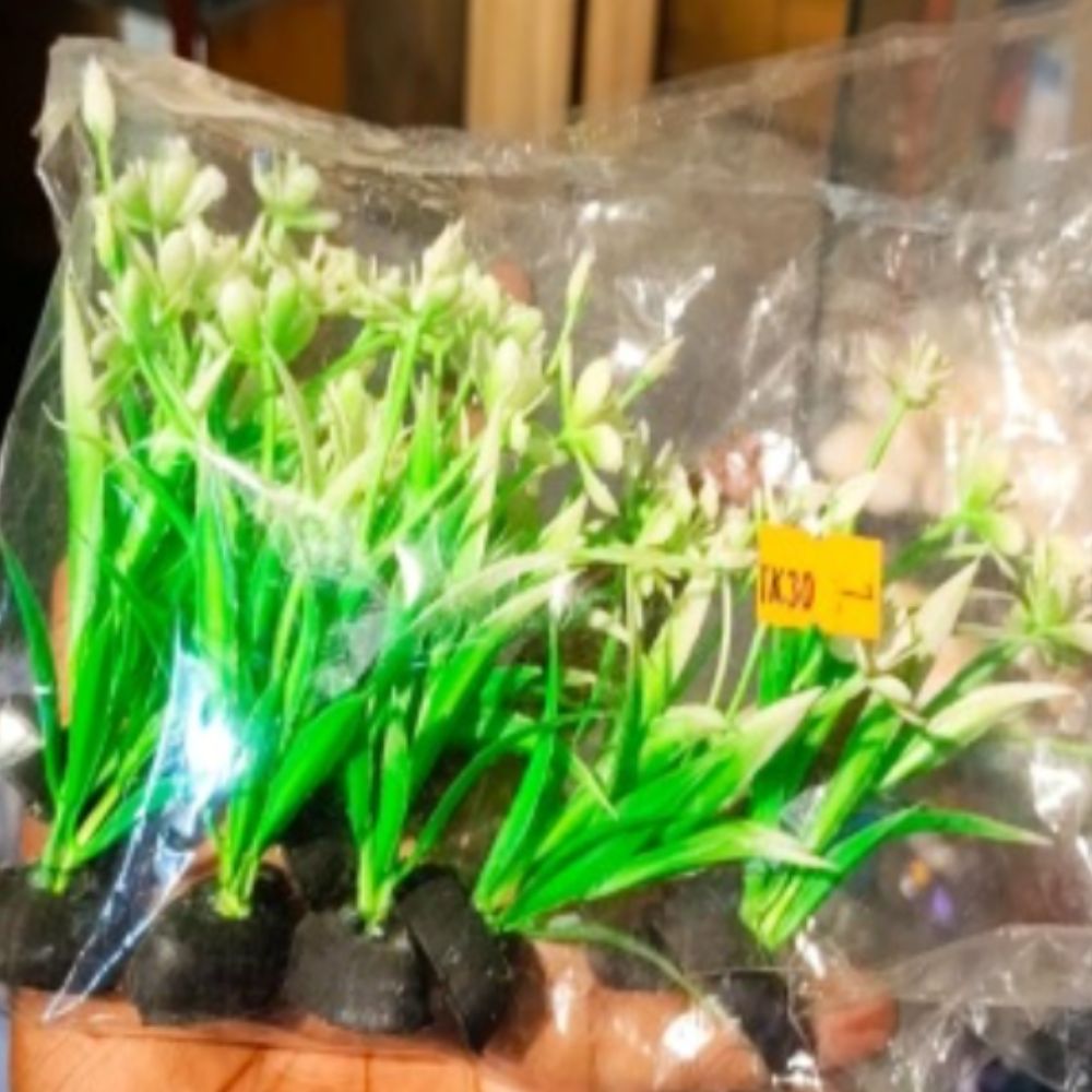plastic plants